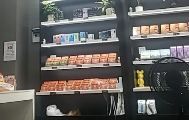 悦刻只能在实体店买吗？