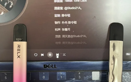 悦刻水果味烟弹2024海外代购