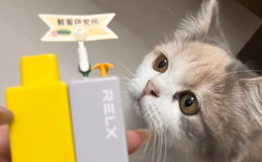 悦刻电子烟第一次使用吸不出来